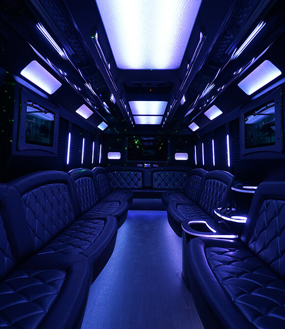 fiber optic lights