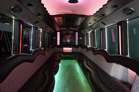 fiber optic lights