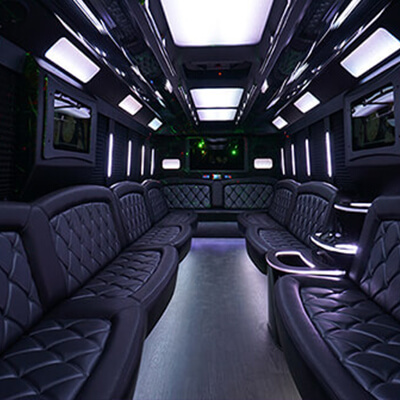 fiber optic lights